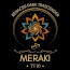 TT16 Meraki